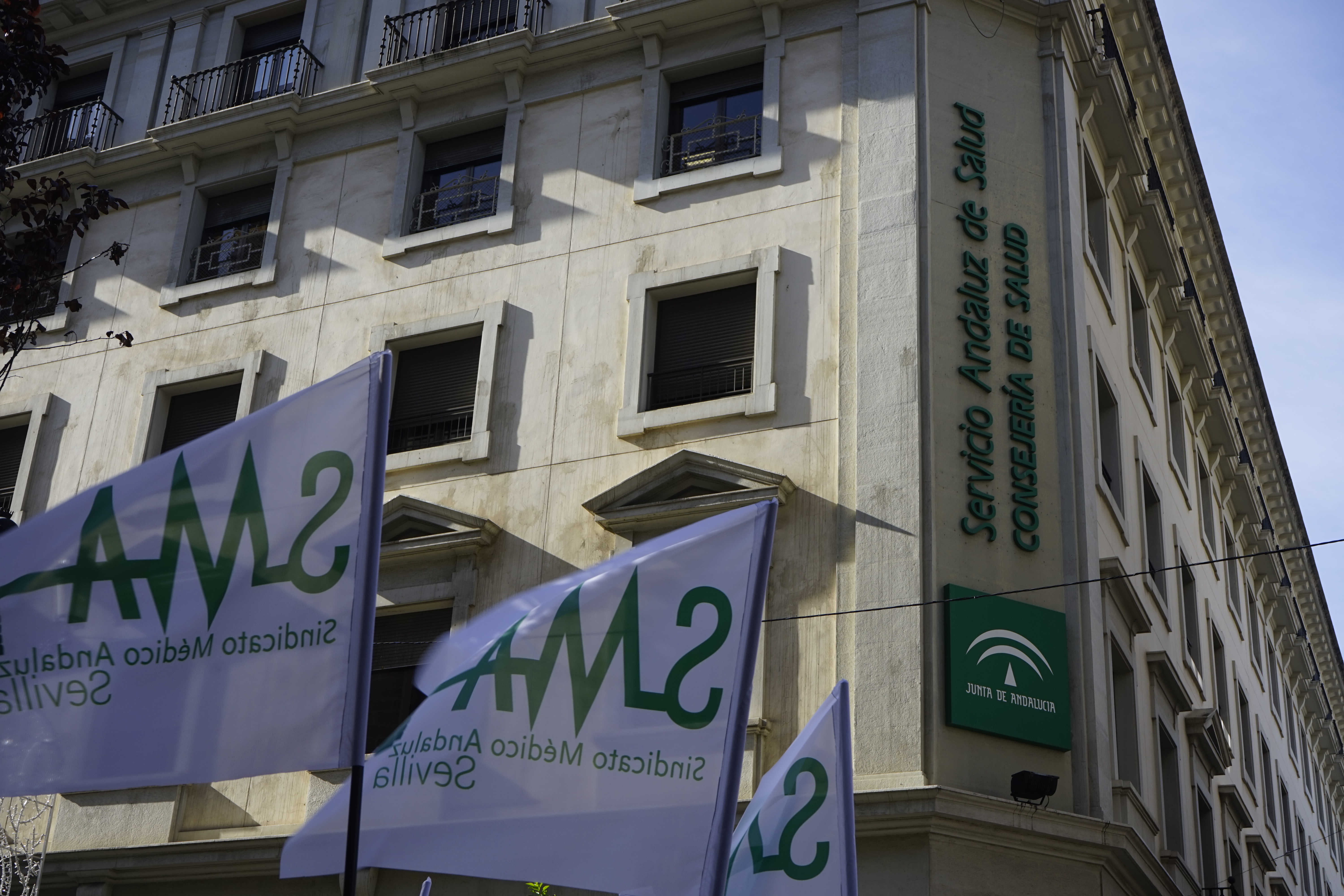 ELECCIONES SINDICALES SAS 2019: UNA PROFESIÓN, UN SINDICATO