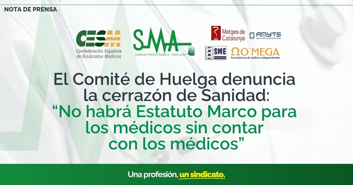 COMITE HUELGA ESTATUTO MARCO CONSEJO MINISTROS
