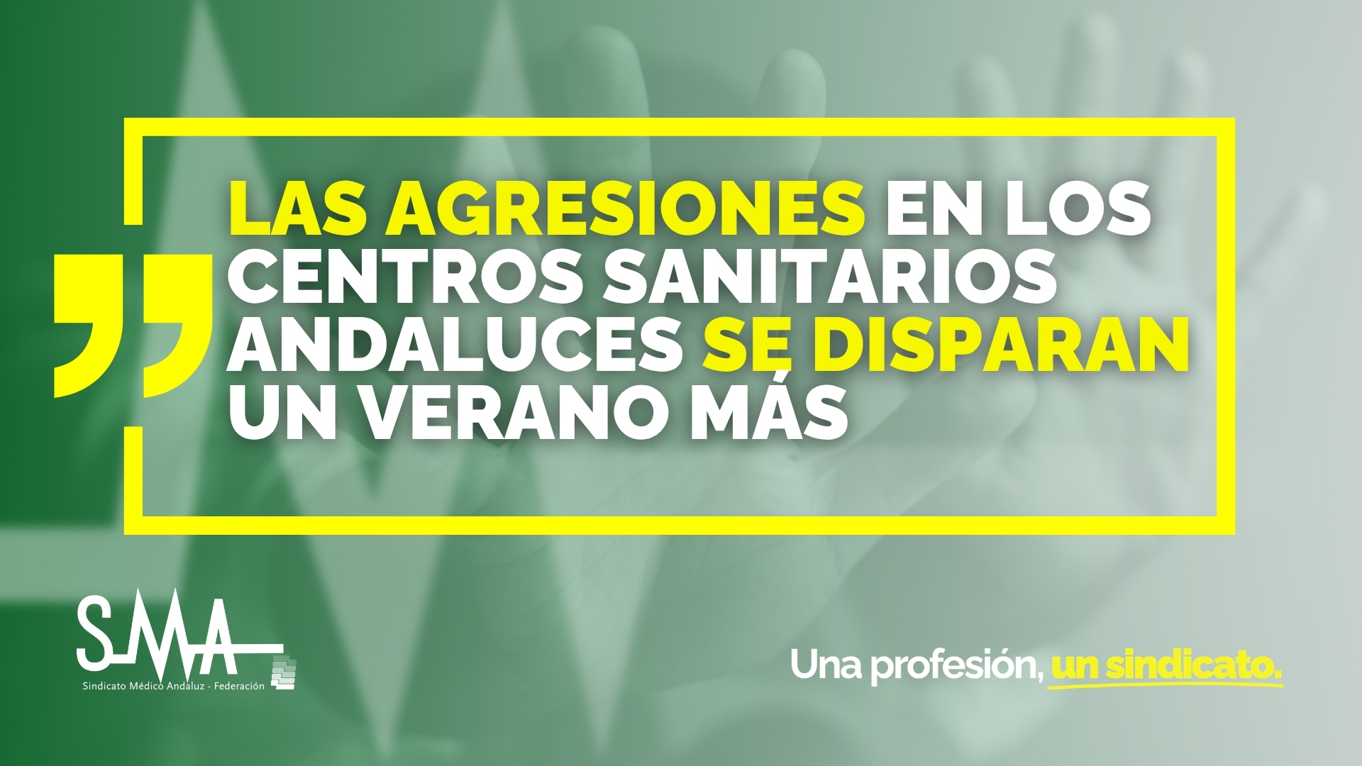 NOTICIA AGRESIONES VERANO