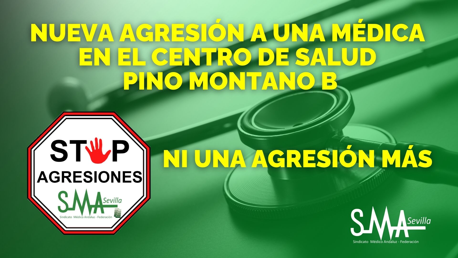 PINO MONTANO B PINO MONTANO B